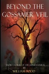 Beyond_the_Gossamer__Cover_for_Kindle