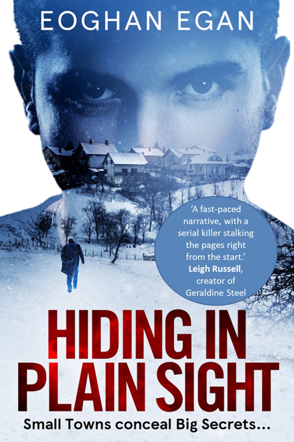 Hiding in Plain Sight by Eoghan&nbsp;Egan